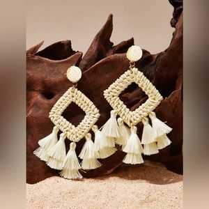 Tassel Decor Earrings